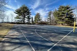 61 Cheswich Ct, Bedminster Township, NJ 07921 - Photo 24