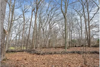 155 Hickory Ln, Closter, NJ 07624 - Photo 4