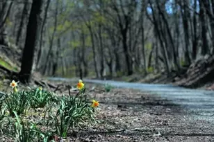 15 Patton St, High Bridge, NJ 08829 - Photo 42