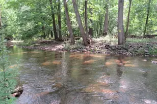 275b Creek Rd, Alexandria Township, NJ 08825 - Photo 24