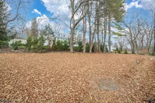 241 Morris Ave, Mountain Lakes, NJ 07046 - Photo 18