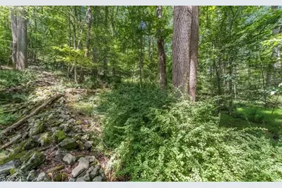 00 Sweet Hollow Rd, Holland Township, NJ 08848 - Photo 1