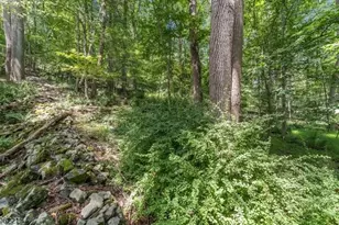 00 Sweet Hollow Rd, Holland Township, NJ 08848 - Photo 1