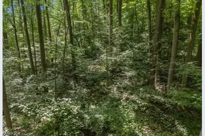 00 Sweet Hollow Rd, Holland Township, NJ 08848 - Photo 12