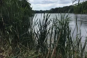 176 Weequahic Ave, Newark, NJ 07112 - Photo 32