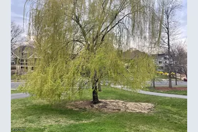 8 Madison Ave, Montclair, NJ 07042 - Photo 42