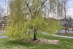 8 Madison Ave, Montclair, NJ 07042 - Photo 42