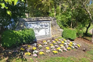 1214 Spruce Hills Dr, Glen Gardner, NJ 08826 - Photo 6