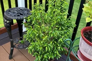 3 Birchwood Dr, Vernon Twp., NJ 07460 - Photo 40