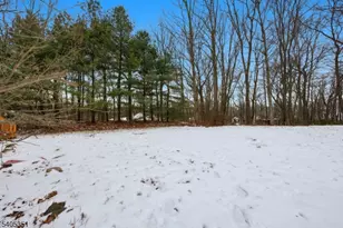 20 Sleepy Hollow Rd, Denville, NJ 07834 - Photo 36