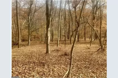 85 Cherryville Hollow Rd, Raritan Township, NJ 08822 - Photo 2