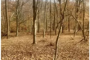 85 Cherryville Hollow Rd, Raritan Township, NJ 08822 - Photo 2