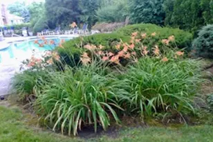 684 Longview Rd, South Orange, NJ 07079 - Photo 40