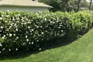 684 Longview Rd, South Orange, NJ 07079 - Photo 42