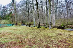 5 Downstream Dr, Mount Olive, NJ 07836 - Photo 32