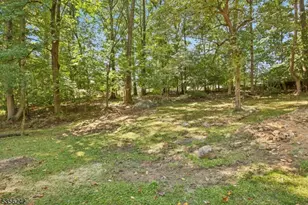 16 Wildcat Rd, Sparta Township, NJ 07871 - Photo 36