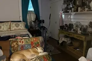 917 Main St, Stillwater, NJ 07860 - Photo 8