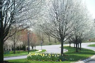 668 Honeybrook Cir, Lopatcong Township, NJ 08886 - Photo 16