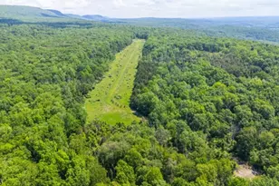 62 Mt Pleasant Rd, Knowlton Township, NJ 07832 - Photo 4