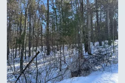 00 Martha St, Sandyston Township, NJ 07826 - Photo 10