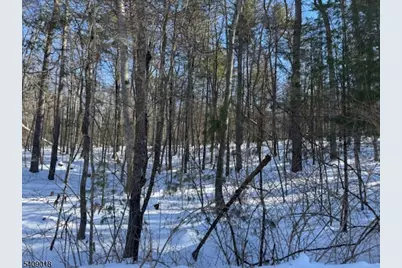 00 Martha St, Sandyston Township, NJ 07826 - Photo 2