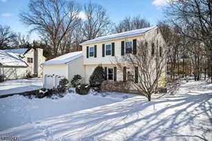 141 Terhune Ln, Hillsborough Township, NJ 08844 - Photo 1