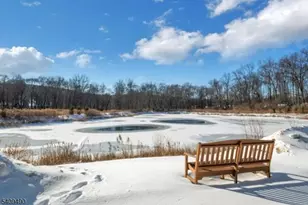 4 Virgil Ln, Mount Olive, NJ 07836 - Photo 28