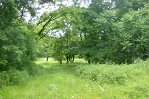 35 Passaic Valley Rd, Montville Township, NJ 07045 - Photo 1