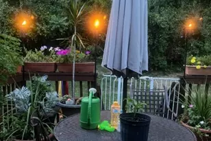 39 Oriole Terrace, Hampton Township, NJ 07860 - Photo 20