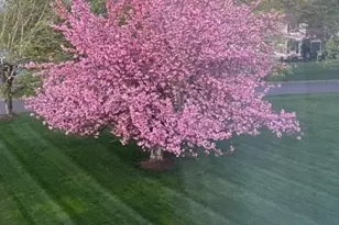 4 Shurts Rd, Readington Twp., NJ 08822 - Photo 22