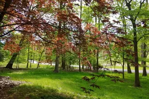 32 Cherryville Hollow Rd, Raritan Township, NJ 08822 - Photo 20