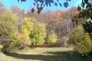 782 Uniontown Rd, Lopatcong Township, NJ 08865 - Photo 38