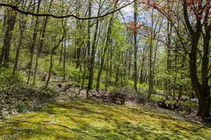 782 Uniontown Rd, Lopatcong Township, NJ 08865 - Photo 46