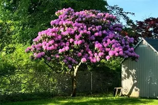 5 Beechwood Dr, Roxbury Township, NJ 07876 - Photo 36