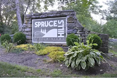 1214 Spruce Hills Dr, Glen Gardner, NJ 08826 - Photo 10