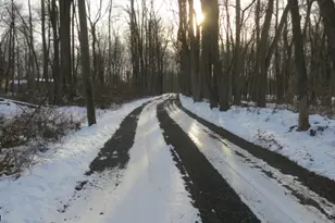 99 Lindbergh Rd, East Amwell Township, NJ 08525 - Photo 50