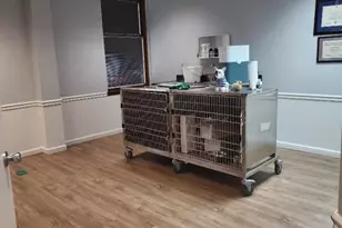 329 Belleville Ave, Bloomfield, NJ 07003 - Photo 6