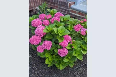 17 Collinwood Rd, Maplewood Twp., NJ 07040 - Photo 38