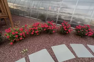 328 Hillside Ave, Livingston, NJ 07039 - Photo 36