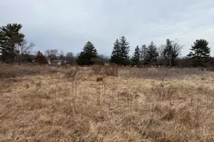 23 Coddington Rd, Readington, NJ 08889 - Photo 4