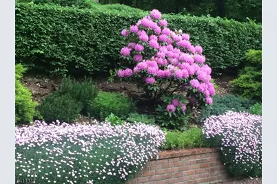 161 Boulevard, Mountain Lakes, NJ 07046 - Photo 48