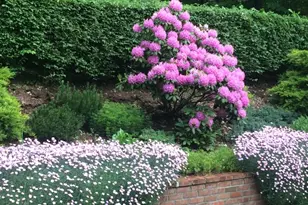 161 Boulevard, Mountain Lakes, NJ 07046 - Photo 48