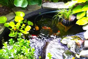 3 Renault Rd, West Milford Twp., NJ 07480 - Photo 8