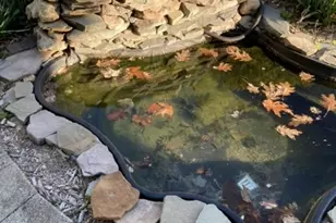 38 Silver Springs Dr, Roxbury Township, NJ 07850 - Photo 12