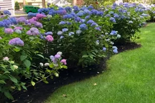 65 7 Oaks Dr, New Providence, NJ 07901 - Photo 48