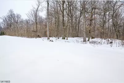 11 Concord Ct, Warren Township, NJ 07059 - Photo 48