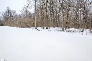 11 Concord Ct, Warren Township, NJ 07059 - Photo 48