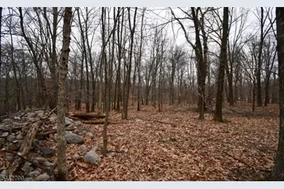 2 Brook Dr, Blairstown Township, NJ 07825 - Photo 2