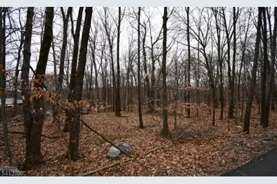 2 Brook Dr, Blairstown Township, NJ 07825 - Photo 1