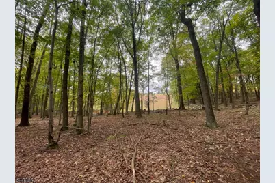 924 Middleville Rd, Stillwater, NJ 07860 - Photo 6